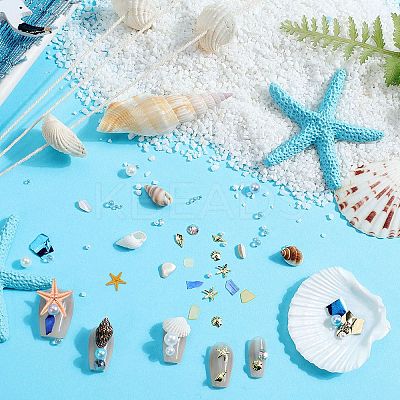Ocean Theme Natural Shell & Resin & Plastic & Alloy Nail Art Decoration MRMJ-CP0001-34E-1