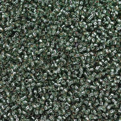 MIYUKI Delica Beads SEED-MY11-DB2165-1