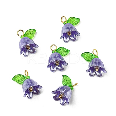 Acrylic Pendants LS-OACR-D012-01B-1