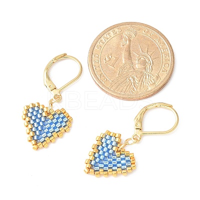 304 Stainless Steel Leverback Earrings for Women EJEW-MZ00408-1