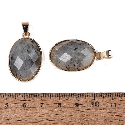Natural Labradorite Pendants G-Q606-92G-01-1