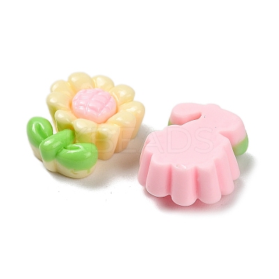 Opaque Resin Cabochons RESI-I068-01A-01-1
