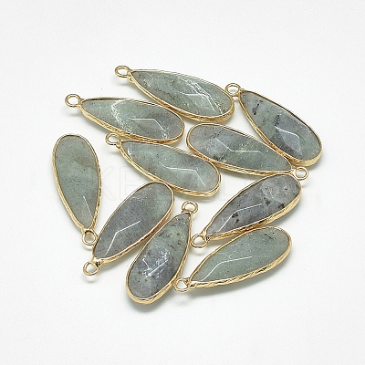 Natural Labradorite Pendants LS-G-Q494-55C-1