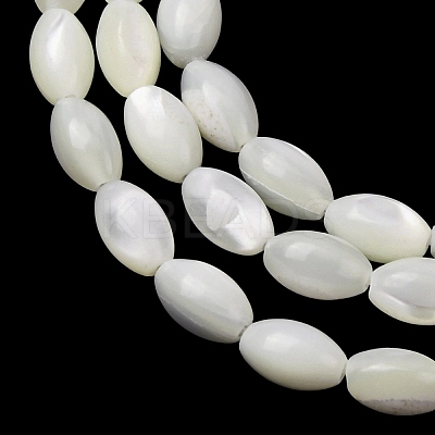 Natural Trochid Shell/Trochus Shell Beads Strands SH-CBA2978-09-1