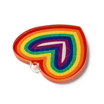 Rainbow Color Printed Acrylic Pendants OACR-B006-01F-1