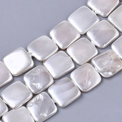 Shell Pearl Beads Strands X-SSHEL-T011-04A-1