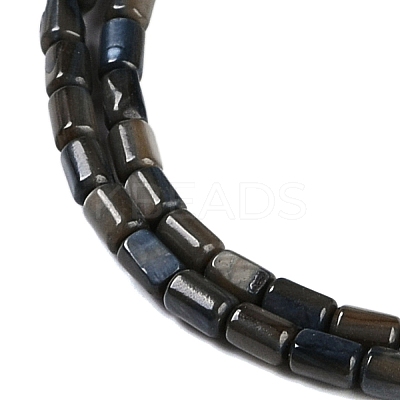 Natural Freshwater Shell Beads Strands BSHE-H109-17E-1