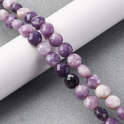 Natural Lepidolite/Purple Mica Stone Beads Strands G-C179-A38-03-1