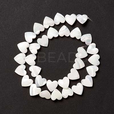 Natural Trochid Shell/Trochus Shell Beads SSHEL-O001-27C-1
