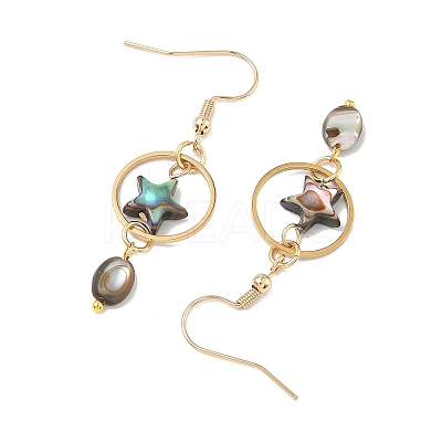 Natural Paua Shell & Stainless Steel Dangle Earrings for Women EJEW-JE07076-01-1
