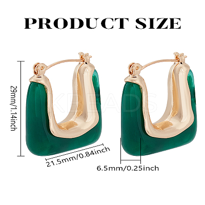 1 Pair Alloy with Resin Hoop Earrings for Women EJEW-LP0004-71A-1