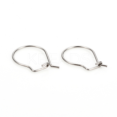 Non-Tarnish 304 Stainless Steel Hoop Earrings STAS-I149-11P-1