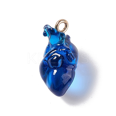Transparent Resin Pendants RESI-E028-01G-05-1