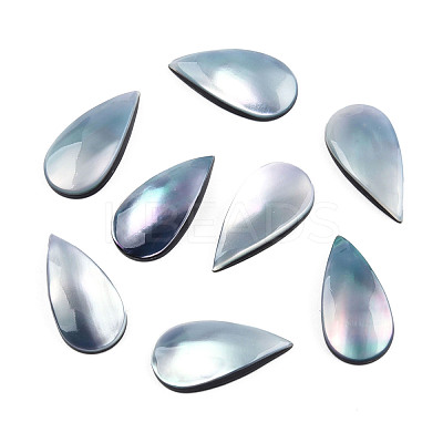 Natural Turbo Cornulus/Top Shells Cabochons SSHEL-N003-156A-1