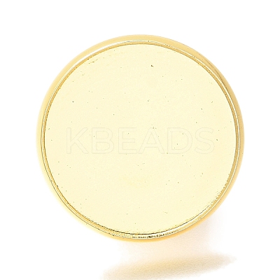 Rack Plating Brass Brooch Finding KK-Z030-01G-02-1