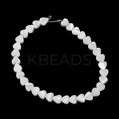 Natural Trochid Shell/Trochus Shell Beads Strands SH-CBA2978-19A-1