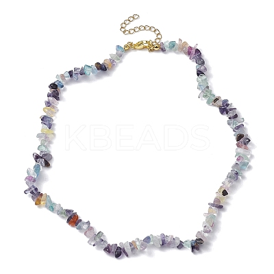 Natural Fluorite Chip Beaded Necklace NJEW-JN04616-11-1