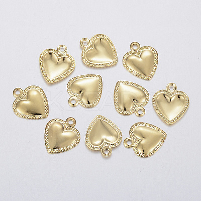 304 Stainless Steel Charms LS-X-STAS-F160-31G-1