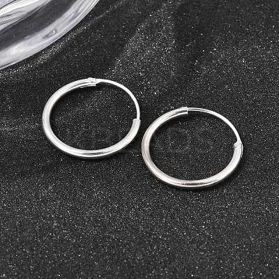 Brass Hoop Earrings EJEW-G474-01S-02-1