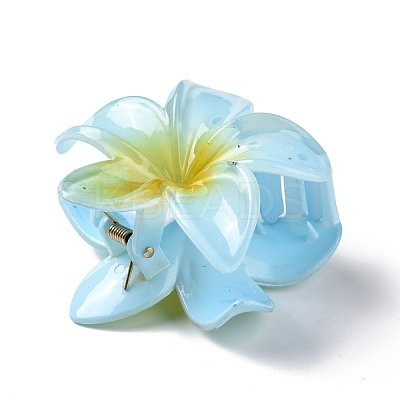 Plastic Claw Hair Clips OHAR-P020-08A-1