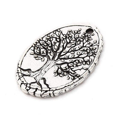 Tibetan Style Alloy Pendants LS-FIND-A053-05C-AS-1
