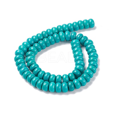 Natural Magnesite Beads Strands TURQ-G148-27-10mm-1