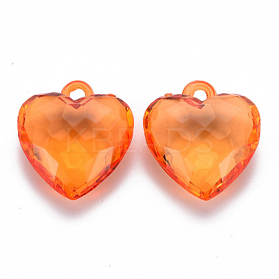 Transparent Acrylic Pendants TACR-T024-03B-921-1