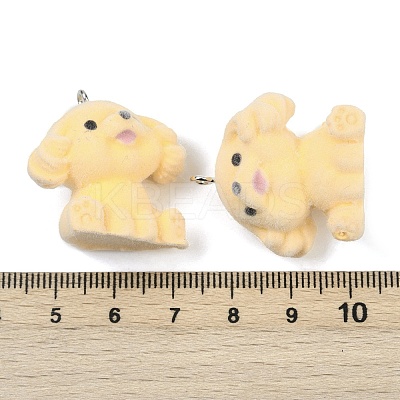 Flocky Resin Pendants FIND-A052-06C-1