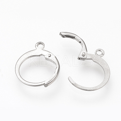 Tarnish Resistant 304 Stainless Steel Leverback Earring Findings LS-STAS-S073-01-1