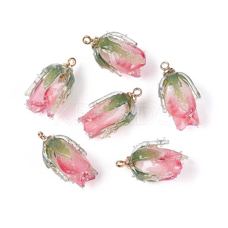 Transparent Acrylic Pendants SACR-T017-53B-1