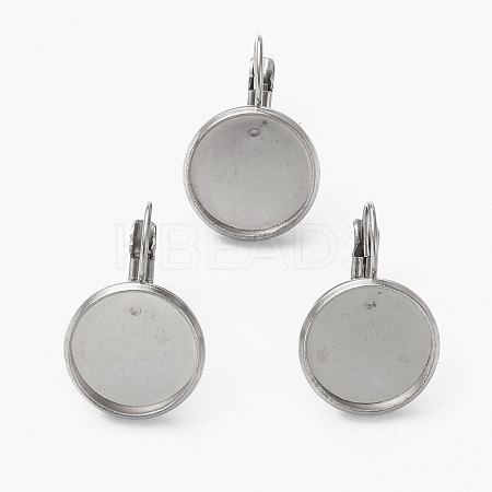 Tarnish Resistant 304 Stainless Steel Leverback Earring Findings LS-STAS-L253-005C-P-1