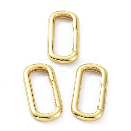 Brass Keychain Clasps KK-B046-01G-1