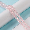 Natural Rose Quartz Beads Strands G-K332-B01-5