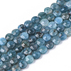 Natural Apatite Beads Strands G-S362-011-1