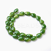 Opaque Solid Color Glass Beads Strands GLAA-E405-02B-G-2