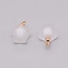 Resin Frosted Pendants MP-TAC0009-03G-1