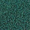 MIYUKI Round Rocailles Beads SEED-X0054-RR0295-3