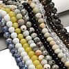 Natural Blue Spot Jasper/Flower Amazonite/Labradorite/Sesame Jasper/Glass Beads Strands G-P562-C-03-2