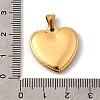 304 Stainless Steel Pendants STAS-B094-04D-G-3