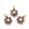 Rack Plating Brass Micro Pave Cubic Zirconia Charms KK-A160-22J-G-2