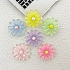 Transparent Resin Cabochons CRES-I046-04-1
