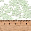 Baking Paint Glass Seed Beads SEED-P006-03A-33-4