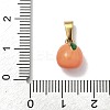 304 Stainless Steel Enamel Fruit Vegetable Charms STAS-F336-02E-G-3