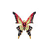 304 Stainless Steel Enamel Pendants STAS-OY009-88G-02-3