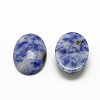 Natural Blue Spot Jasper Cabochons G-R415-14x10-45-2