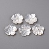 Natural White Shell Mother of Pearl Shell Beads SSHEL-R144-10-1