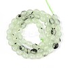 Natural Prehnite Beads Strands G-T142-82-2