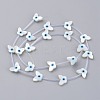 Natural White Shell Mother of Pearl Shell Beads SSHEL-L018-011-3