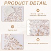 2Pcs Shell Cabochons Sheets AJEW-GO0002-11-5
