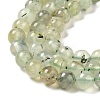 Natural Prehnite Beads Strands G-S333-6mm-032-5